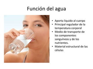 Función del agua
• Aporta liquido al cuerpo
• Principal regulador de la
temperatura corporal
• Medio de transporte de
los ...