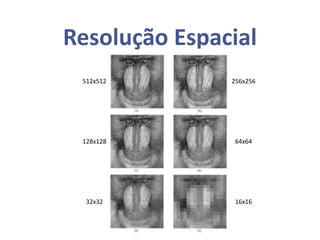 Resolução Espacial
512x512 256x256
128x128 64x64
32x32 16x16
 