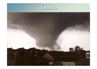 Tornado 
 