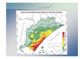 ““Catarina”” 
 