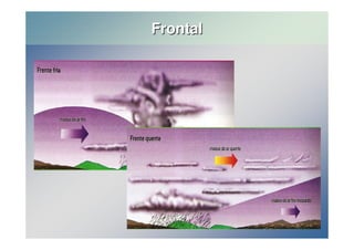 Frontal 
 