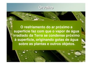 Orvalho 
O resfriamento do ar próximo a 
superfície faz com que o vapor de água 
irradiado da Terra se condense próximo 
à superfície, originando gotas de água 
sobre as plantas e outros objetos. 
 