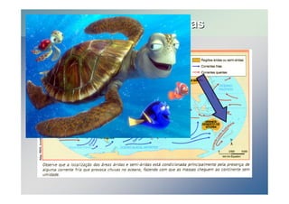 Correntes Marítimas 
 