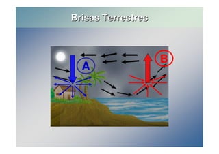 A 
B 
Brisas Terrestres 
 