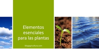 Elementos
esenciales
para las plantas
blogagricultura.com
 