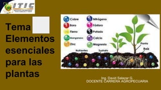Tema 3c:
Elementos
esenciales
para las
plantas Ing. David Salazar G.
DOCENTE CARRERA AGROPECUARIA
 