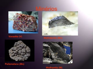 Minérios



   Vanadita (V)
                     Molibdenita (Mo)




Psilomelano (Mn)
                      Wolframita (W)
 