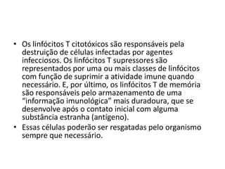 • Os linfócitos T citotóxicos são responsáveis pela
  destruição de células infectadas por agentes
  infecciosos. Os linfócitos T supressores são
  representados por uma ou mais classes de linfócitos
  com função de suprimir a atividade imune quando
  necessário. E, por último, os linfócitos T de memória
  são responsáveis pelo armazenamento de uma
  “informação imunológica” mais duradoura, que se
  desenvolve após o contato inicial com alguma
  substância estranha (antígeno).
• Essas células poderão ser resgatadas pelo organismo
  sempre que necessário.
 