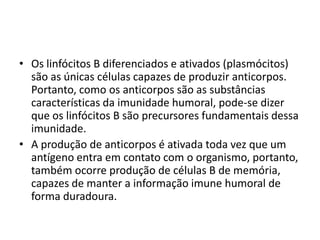 • Os linfócitos B diferenciados e ativados (plasmócitos)
  são as únicas células capazes de produzir anticorpos.
  Portanto, como os anticorpos são as substâncias
  características da imunidade humoral, pode-se dizer
  que os linfócitos B são precursores fundamentais dessa
  imunidade.
• A produção de anticorpos é ativada toda vez que um
  antígeno entra em contato com o organismo, portanto,
  também ocorre produção de células B de memória,
  capazes de manter a informação imune humoral de
  forma duradoura.
 