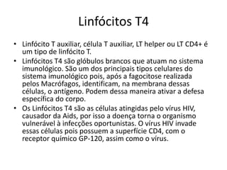 Linfócitos T4
• Linfócito T auxiliar, célula T auxiliar, LT helper ou LT CD4+ é
  um tipo de linfócito T.
• Linfócitos T4 são glóbulos brancos que atuam no sistema
  imunológico. São um dos principais tipos celulares do
  sistema imunológico pois, após a fagocitose realizada
  pelos Macrófagos, identificam, na membrana dessas
  células, o antígeno. Podem dessa maneira ativar a defesa
  específica do corpo.
• Os Linfócitos T4 são as células atingidas pelo vírus HIV,
  causador da Aids, por isso a doença torna o organismo
  vulnerável à infecções oportunistas. O vírus HIV invade
  essas células pois possuem a superfície CD4, com o
  receptor químico GP-120, assim como o vírus.
 