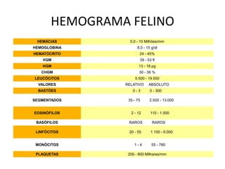 HEMOGRAMA FELINO
 HEMÁCIAS         5,0 - 10 Milhões/mm
HEMOGLOBINA           8,0 - 15 g/dl
HEMATÓCRITO            24 - 45%
    VGM                39 - 53 fl
    HGM                13 - 18 pg
   CHGM                30 - 36 %
LEUCÓCITOS           5.500 - 19.500
  VALORES       RELATIVO     ABSOLUTO
  BASTÕES          0-3        0 - 300

SEGMENTADOS      35 - 75      2.500 - 13.000


EOSINÓFILOS       2 - 12      110 - 1.500

 BASÓFILOS       RAROS         RAROS

 LINFÓCITOS      20 - 55      1.100 - 9.000


 MONÓCITOS          1-4        55 - 780

 PLAQUETAS       200 - 800 Milhares/mm
 