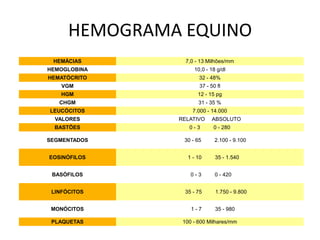 HEMOGRAMA EQUINO
 HEMÁCIAS        7,0 - 13 Milhões/mm
HEMOGLOBINA         10,0 - 18 g/dl
HEMATÓCRITO           32 - 48%
    VGM                37 - 50 fl
    HGM               12 - 15 pg
   CHGM               31 - 35 %
LEUCÓCITOS          7.000 - 14.000
  VALORES      RELATIVO     ABSOLUTO
  BASTÕES         0-3        0 - 280

SEGMENTADOS     30 - 65       2.100 - 9.100


EOSINÓFILOS       1 - 10      35 - 1.540


 BASÓFILOS         0-3        0 - 420


 LINFÓCITOS     35 - 75       1.750 - 9.800


 MONÓCITOS         1-7        35 - 980

 PLAQUETAS      100 - 600 Milhares/mm
 