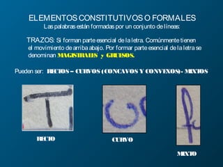 ELEMENTOSCONSTITUTIVOSO FORMALES
Laspalabrasestán formadaspor un conjunto delíneas:
TRAZOS: Si forman parteesencial delaletra. Comúnmentetienen
el movimiento dearribaabajo. Por formar parteesencial delaletrase
denominan MAGISTRALES y GRUESOS.
Pueden ser: RECTOS – CURVOS (CONCAVOS Y CONVEXOS)- MIXTOS
RECTO
MIXTO
CURVO
 