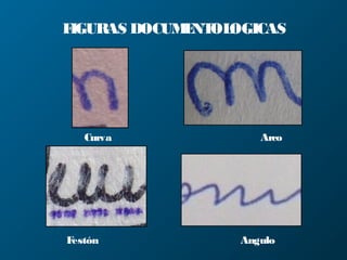 FIGURAS DOCUMENTOLOGICAS
Curva Arco
Festón Angulo
 
