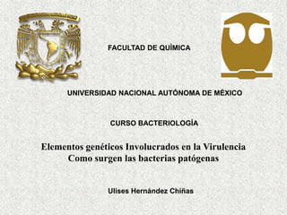 FACULTAD DE QUÍMICA
UNIVERSIDAD NACIONAL AUTÓNOMA DE MÉXICO
CURSO BACTERIOLOGÍA
Ulises Hernández Chiñas
Elementos genéticos Involucrados en la Virulencia
Como surgen las bacterias patógenas
 