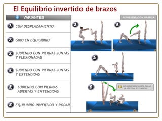 REPRESENTACIÓN GRÁFICA
El Equilibrio invertido de brazos
CON DESPLAZAMIENTO
GIRO EN EQUILIBRIO
SUBIENDO CON PIERNAS JUNTAS
Y FLEXIONADAS
VARIANTES
SUBIENDO CON PIERNAS JUNTAS
Y EXTENDIDAS
SUBIENDO CON PIERNAS
ABIERTAS Y EXTENDIDAS
EQUILIBRIO INVERTIDO Y RODAR
NO AGRUPARSE HASTA PASAR
LA VERTICAL EXTENDIDO
 