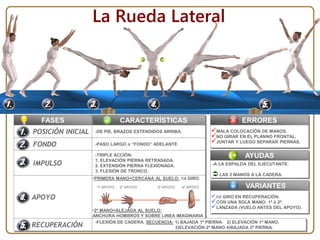 CARACTERÍSTICASFASES
POSICIÓN INICIAL -DE PIE, BRAZOS EXTENDIDOS ARRIBA.
FONDO -PASO LARGO o “FONDO” ADELANTE
IMPULSO
APOYO
-TRIPLE ACCIÓN:
1. ELEVACIÓN PIERNA RETRASADA.
2. EXTENSIÓN PIERNA FLEXIONADA.
3. FLEXIÓN DE TRONCO.
•PRIMERA MANO+CERCANA AL SUELO: 1/4 GIRO.
•2º MANO+ALEJADA AL SUELO:
ANCHURA HOMBROS Y SOBRE LINEA IMAGINARIA
RECUPERACIÓN
-FLEXIÓN DE CADERA. SECUENCIA: 1) BAJADA 1ª PIERNA. 2) ELEVACIÓN 1ª MANO.
3)ELEVACIÓN 2ª MANO 4)BAJADA 2ª PIERNA.
La Rueda Lateral
1º APOYO 2º APOYO 3º APOYO 4º APOYO
ERRORES
AYUDAS
-A LA ESPALDA DEL EJECUTANTE:
 LAS 2 MANOS A LA CADERA.
MALA COLOCACIÓN DE MANOS.
NO GIRAR EN EL PLANNO FRONTAL.
JUNTAR Y LUEGO SEPARAR PIERNAS.
VARIANTES
1/2 GIRO EN RECUPERACIÓN.
CON UNA SOLA MANO: 1ª ó 2ª.
LANZADA (VUELO ANTES DEL APOYO).
 