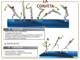- SALTO LARGO Y RASANTE.
- EXTENSIÓN DEL CUERPO EN EL AIRE.
- FINALIZAR EN FONDO.
EL ANTESALTO
- PARTE FINAL DE LA RONDADA.
- ELEMENTO DE ENLACE.
- DESDE EQUILIBRIO DE BRAZOS(PREVIA FLEXIÓN DE
BRAZOS), IMPULSIÓN DE BRAZOS (EXTENSIÓN) Y
FLEXIÓN RÁPIDA DE CADERA.
EJECUCIÓN
EJECUCIÓN
LA
CORVETA
 