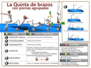CARACTERÍSTICASFASES
POSICIÓN INICIAL -DE PIE/ DE CUCLILLAS Y DE ESPALDAS.
DESEQUILIBRIO -IDEM VOLTEO ATRÁS.
RODAMIENTO -IDEM VOLTEO ATRÁS.
La Quinta de brazos
6.1. DESCENSO CON 1 PIERNA
6.2. DESCENSO CON 2 PIERNAS
6.4. SOBRE EL PECHOCON BRAZOS EXTENDIDOS
6.3. SOBRE EL PECHO CON FLEXIÓN DE BRAZOS
ERRORES
AYUDAS
-LATERALES POR TOBILLOS:
 TIRAR ARRIBA.
FALTA DE COORDINACIÓN EN LAS
ACCIONES DE IMPULSO.
IMPULSO ANTES/DESPUÉS DE
RODILLAS/PIES SOBRE LA CARA.
VARIANTES
CON PIERNAS AGRUPADAS.
CON PIERNAS EXTENDIDAS.
IMPULSO
EQUILIBRIO
DESCENSO
-CUANDO LAS RODILLAS (QINTA AGRUPADA) ó LA
PUNTA DE LOS PIES(QUINTA EXTENDIDA) ENCIMA
DE LA CARA:
 EXTENSIÓN DE BRAZOS.
EXTENSIÓN ÁNGULO TRONCO-PIERNAS.
•IDEM EQUILIBRIO INVERTIDO DE MANOS:
-CON 1 O 2 PIERNAS, EN SECANTTE Y EXTENDIDO
ANCHURA DE HOMBROS
con piernas agrupadas
 