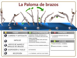 FASES
CARRERA Y ANTESALTO
IMPULSO
APOYO DE MANOS E
IMPULSO DE BRAZOS
SUSPENSIÓN ó VUELO
RECEPCIÓN
CARACTERÍSTICAS
AYUDAS
MANO INTERNA ->HOMBRO.
 MANO EXTERNA -> CADERA.
-CARRERA PREVIA, ANTESALTO Y
FONDO DE LA PIERNA ADELANTADA.
-TRIPLE ACCIÓN:
• EXTENSIÓN PIERNA ADELANTADA.
• MANOS LEJOS.
• ELEVACIÓN PIERNA ATRASADA.
-TRABAJO ACTIVO HOMBRO-MUÑECA.
-EXTENDIDOS.
-1 ó 2 PIERNAS, JUNTAS O EN FONDO.
La Paloma de brazos
ERRORES
FLEXIONAR BRAZOS EN FASE
DE APOYO.
 