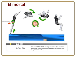 “Es un GIRO de 360 º en el eje transversal en posición
agrupada ( puede ser también carpado: extendido) sin
apoyo de manos”.
¿QUÉ ES?
El mortal
Definición
Eje Transversal
 