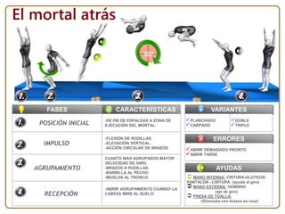 CUANTO MÁS AGRUPADOS MAYOR
VELOCIDAD DE GIRO:
-BRAZOS A RODILLAS.
-BARBILLA AL PECHO.
-MUSLOS AL TRONCO.
-FLEXIÓN DE RODILLAS.
-ELEVACIÓN VERTICAL.
-ACCIÓN CIRCULAR DE BRAZOS.
-DE PIE DE ESPALDAS A ZONA DE
EJECUCIÓN DEL MORTAL.
FASES
El mortal atrás
POSICIÓN INICIAL
IMPULSO
AGRUPAMIENTO
RECEPCIÓN
CARACTERÍSTICAS
ERRORES
ABRIR DEMASIADO PRONTO
ABRIR TARDE
AYUDAS
 MANO INTERNA: CINTURA-GLÚTEOS/
PANTALÓN –CINTURA: (ayuda al giro)
 MANO EXTERNA: HOMBRO
(eje de giro)
 PRESA DE TOALLA:
(Gimnasta con brazos en cruz)
-ABRIR AGRUPAMIENTO CUANDO LA
CABEZA MIRE AL SUELO.
VARIANTES
PLANCHADO
CARPADO
DOBLE
TRIPLE
 