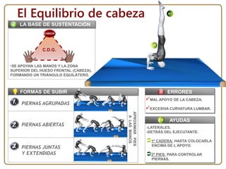 APROXIMARPIES
ALASMANOS
•SE APOYAN LAS MANOS Y LA ZONA
SUPERIOR DEL HUESO FRONTAL (CABEZA),
FORMANDO UN TRIÁNGULO EQUILÁTERO.
FORMAS DE SUBIR
C.D.G.
CABEZA
LA BASE DE SUSTENTACIÓN
El Equilibrio de cabeza
PIERNAS AGRUPADAS
PIERNAS ABIERTAS
PIERNAS JUNTAS
Y EXTENDIDAS
ERRORES
MAL APOYO DE LA CABEZA.
EXCESIVA CURVATURA LUMBAR.
AYUDAS
-LATERALES.
-DETRÁS DEL EJECUTANTE.
1º CADERA: HASTA COLOCARLA
ENCIMA DE L APOYO.
2º PIES: PARA CONTROLAR
PIERNAS.
 