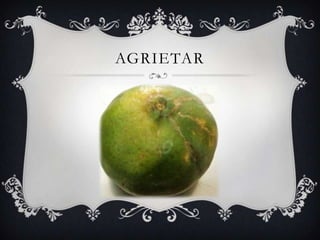AGRIETAR