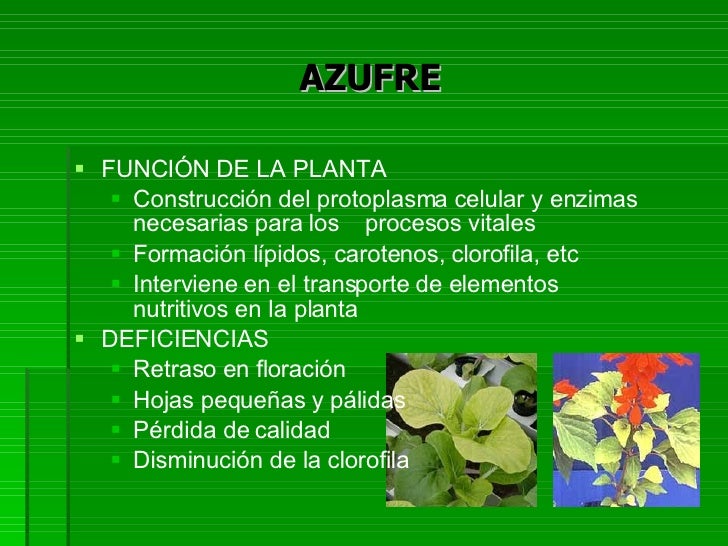 Elementos Menores 1211225590423877 9