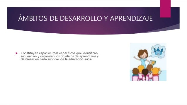 Elementos organizadores del diseño curricular