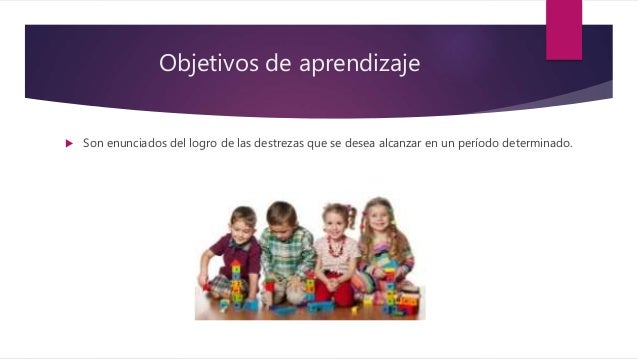 Elementos organizadores del diseño curricular