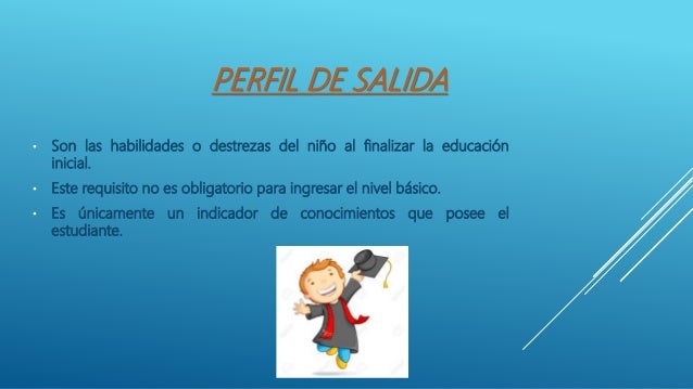 Elementos organizadores del diseño curricular