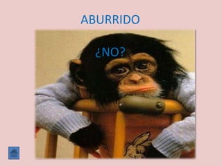 ABURRIDO

 ¿NO?
 