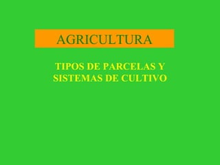 TIPOS DE PARCELAS Y SISTEMAS DE CULTIVO AGRICULTURA 