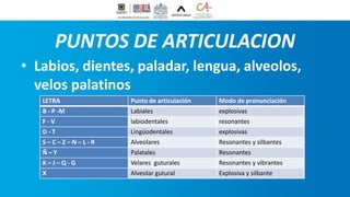 PUNTOS DE ARTICULACION
• Labios, dientes, paladar, lengua, alveolos,
velos palatinos
LETRA Punto de articulación Modo de pronunciación
B - P -M Labiales explosivas
F - V labiodentales resonantes
D - T Lingüodentales explosivas
S – C – Z – N – L - R Alveolares Resonantes y silbantes
Ñ – Y Palatales Resonantes
K – J – Q - G Velares guturales Resonantes y vibrantes
X Alveolar gutural Explosiva y silbante
 
