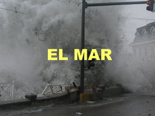 EL MAR
EL MAR
 