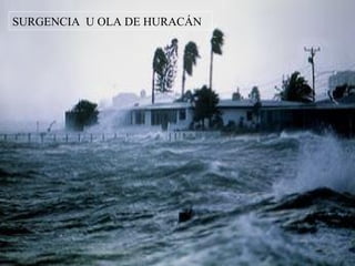 SURGENCIA U OLA DE HURACÁN
 