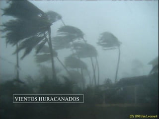 VIENTOS HURACANADOS
 