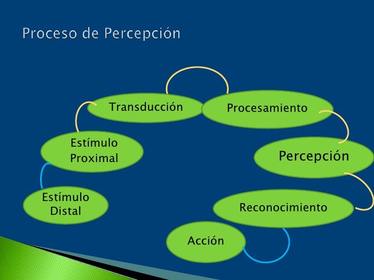 Elementos Perceptuales