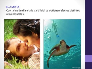 Elementos plásticos de la imagen- PERCEPCIÓN VISUAL