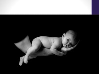 Elementos plásticos de la imagen- PERCEPCIÓN VISUAL