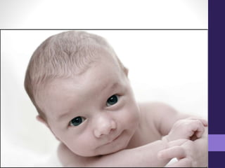 Elementos plásticos de la imagen- PERCEPCIÓN VISUAL