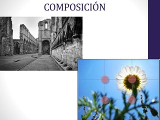 COMPOSICIÓN
 