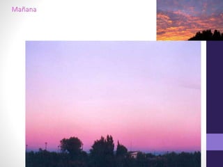 Elementos plásticos de la imagen- PERCEPCIÓN VISUAL