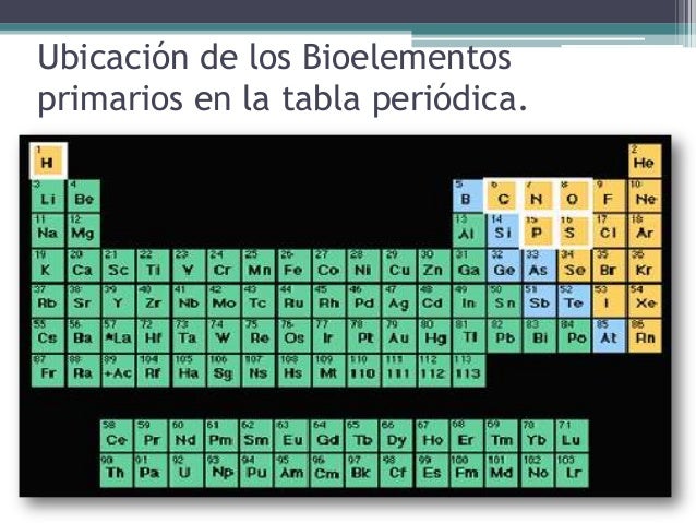 tabla periodica de los elementos quimicos mas importantes images elementos qumicos ms importantes para el buen - Tabla Periodica De Los Elementos Mas Importantes tabla periodica de los elementos quimicos mas importantes images elementos qumicos ms importantes para el buen - Tabla Periodica De Los Elementos Mas Importantes