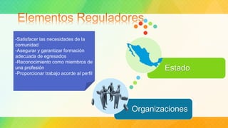 -Satisfacer las necesidades de la
comunidad
-Asegurar y garantizar formación
adecuada de egresados
-Reconocimiento como miembros de
una profesión
-Proporcionar trabajo acorde al perfil
Organizaciones
Estado
 