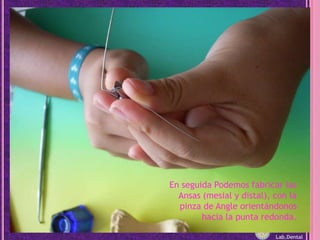 En seguida Podemos fabricar las Ansas (mesial y distal), con la pinza de Angle orientándonos hacia la punta redonda.Lab.Dental