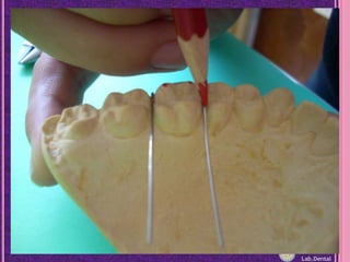 Lab.Dental