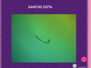 GANCHO GOTALab.Dental