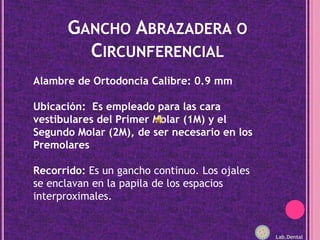 Gancho Abrazadera o CircunferencialAlambre de Ortodoncia Calibre: 0.9 mm Ubicación:  Es empleado para las cara vestibulares del Primer Molar (1M) y el Segundo Molar (2M), de ser necesario en los PremolaresRecorrido: Es un gancho continuo. Los ojales se enclavan en la papila de los espacios interproximales.Lab.Dental